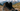 How to Choose Trekking Boots: Tips for Beginners and Pros
